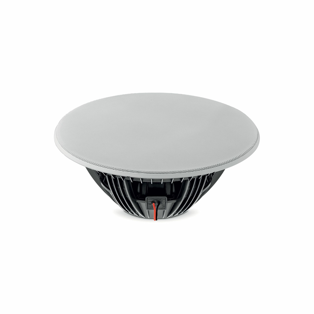 littora_1000_icw-sub10_34_pt_rond.webp