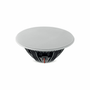 littora_1000_icw-sub10_34_pt_rond.webp