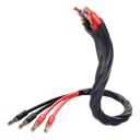 Inakustik Exz S25 Speaker 425 2x3,0m BFA SBW