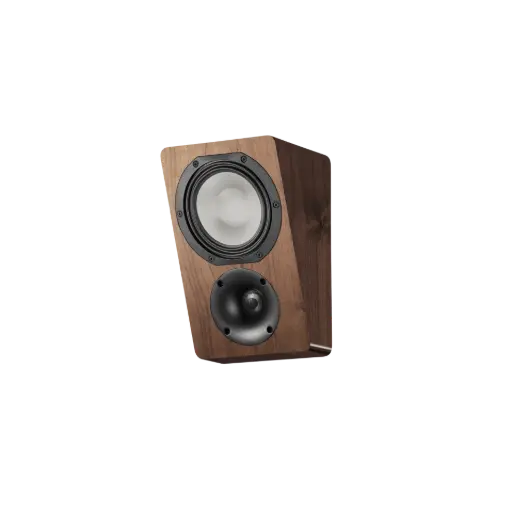 [04333] Canton AR 5 Walnut